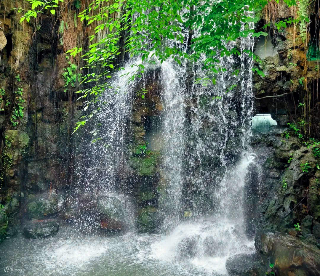 [Tur Sehari di Fukuoka] Batu Meotoi Itoshima, Ayunan Pohon Kelapa, Air ...